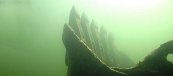 На дне озера Бирзес На дне озера Бирзес - Sputnik Latvija