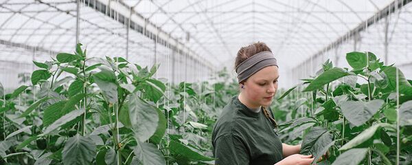 Школьники во время работы Школьники во время работы - Sputnik Latvija