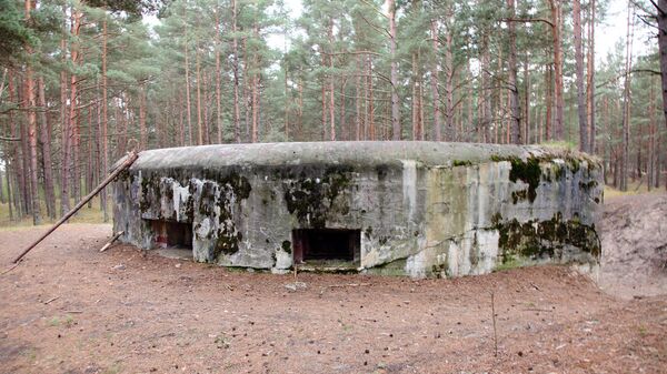 ДОТ времен Первой республики - Sputnik Латвия