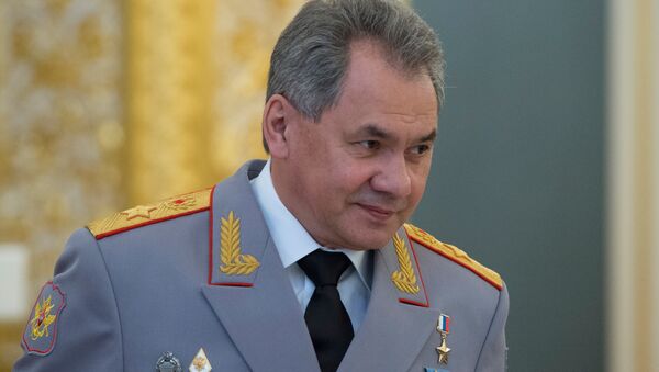 Krievijas aizsardzības ministrs Sergejs Šoigu - Sputnik Latvija