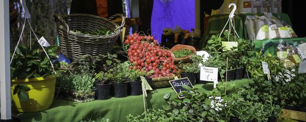 Базарчик улицы Калнциема - Sputnik Latvija