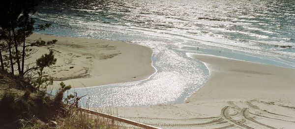 Белые дюны Белые дюны - Sputnik Латвия