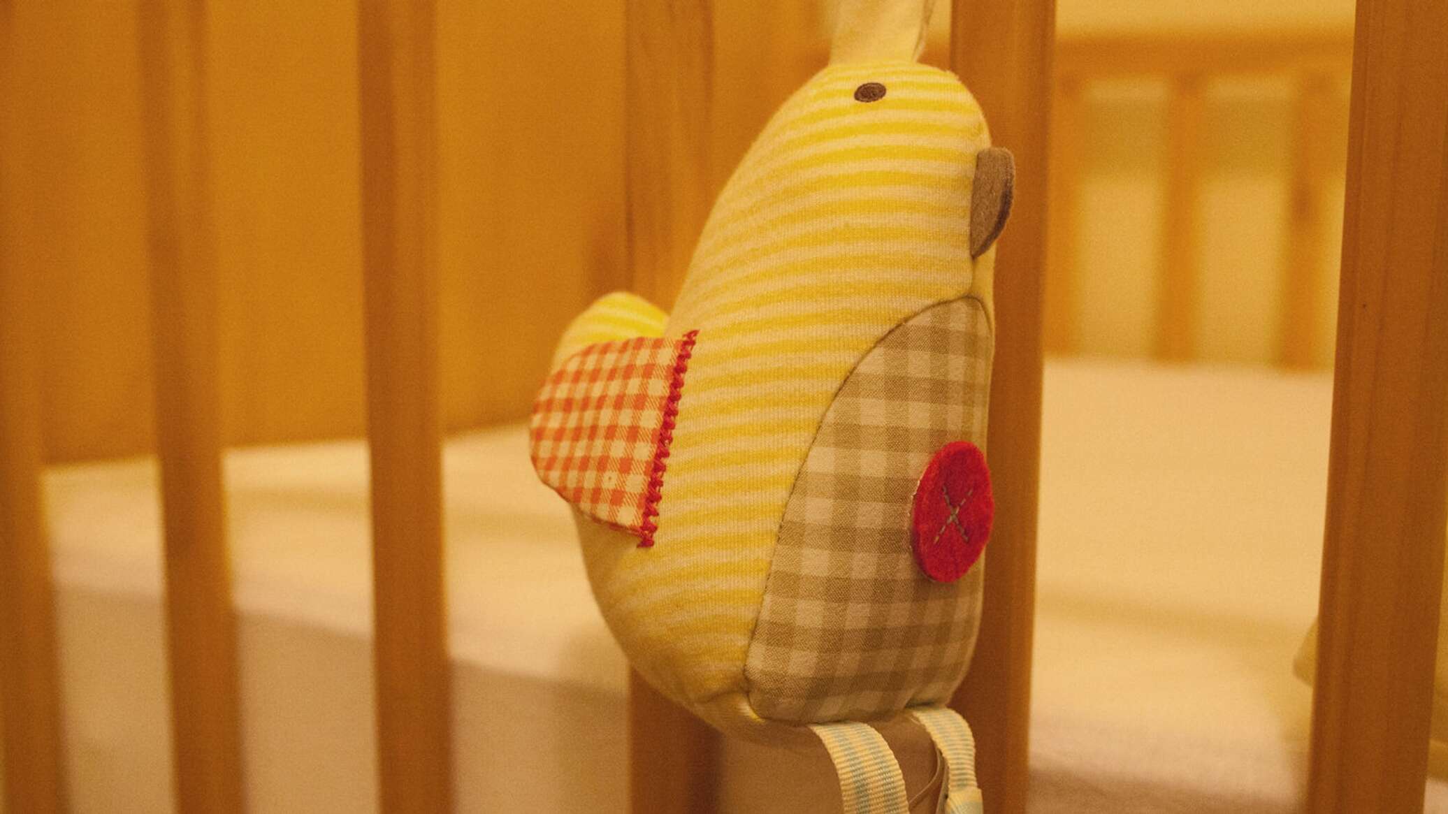 Население Латвии продолжает сокращаться: показатель рождаемости ...