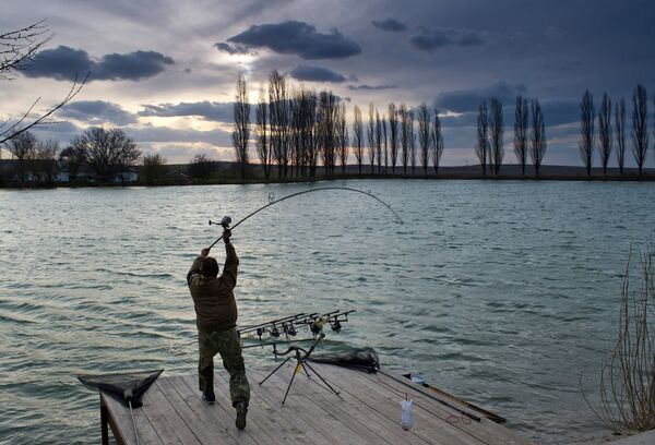 Krimas čempionāts karpu zvejā Belogorskas rajonā Krimā. - Sputnik Latvija