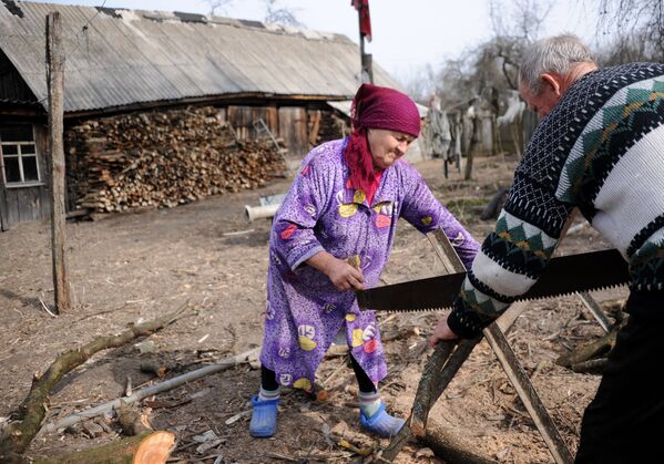 Valentīna Berežņackaja (75 gadi) un Ivans Seluiko (78 gadi) zāģē malku Saviču ciemā, Poļesjes radiācijas rezervātā Baltkrievijā. - Sputnik Latvija