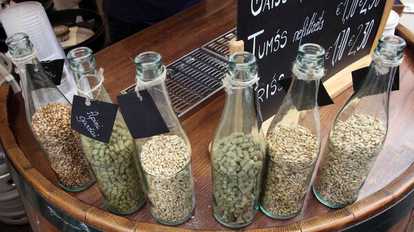 То, из чего состоит пиво То, из чего состоит пиво - Sputnik Латвия