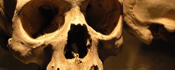 Череп. Архивное фото Череп. Архивное фото - Sputnik Latvija