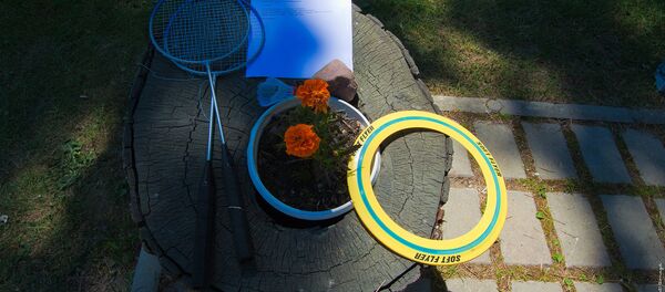 Летний отдых - Sputnik Латвия