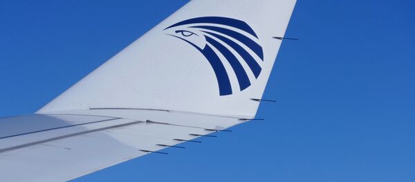 Kompānijas EgyptAir lidmašīnas spārns. Foto no arhīva Kompānijas EgyptAir lidmašīnas spārns. Foto no arhīva - Sputnik Latvija