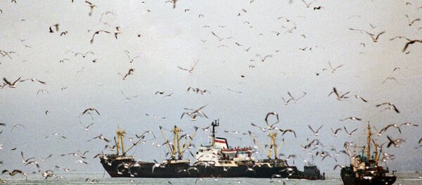 Рыболовецкие судна в море - Sputnik Латвия