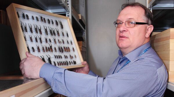Многих жуков Арвид Баршевский покупал для коллекции на аукционах  - Sputnik Латвия