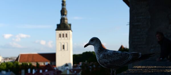 Tallina Tallina - Sputnik Latvija
