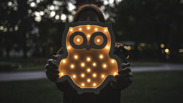 Ночники Happy Moon Ночники Happy Moon - Sputnik Латвия