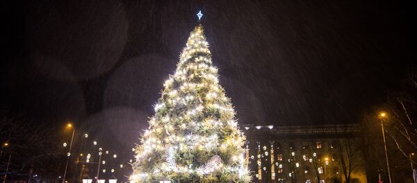 Ziemassvētku ēgle Liepājā Ziemassvētku ēgle Liepājā - Sputnik Latvija