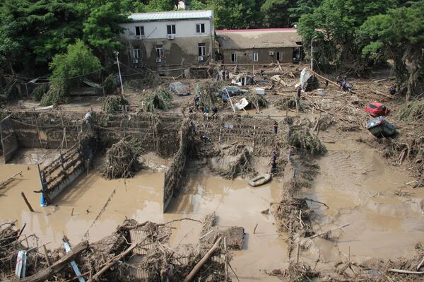 Территория зоопарка в Тбилиси после разрушительного наводнения 14 июня 2015 года - Sputnik Латвия