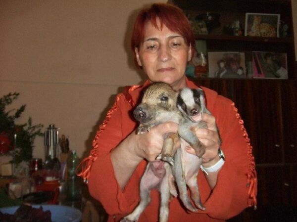 Гулико Читадзе, главная няня-смотрительница тбилисского зоопарка - Sputnik Латвия