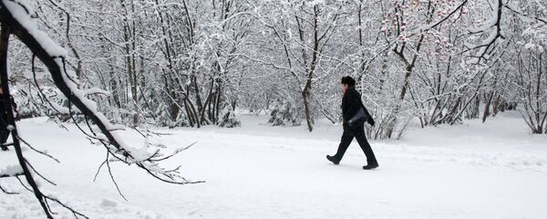 Зимний парк - Sputnik Латвия