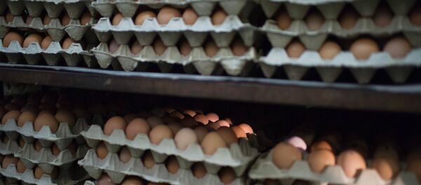 Птицефабрика - Sputnik Латвия