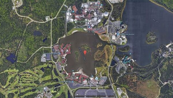 Карта нападения аллигатора - Sputnik Латвия