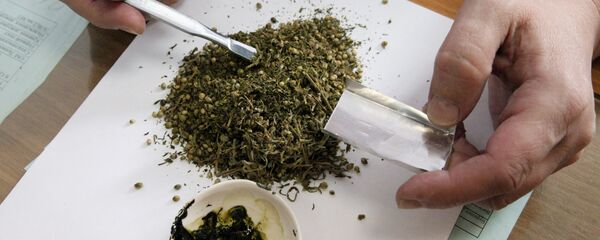 Работа экспертно-криминалистического центра УВД по Приморскому краю - Sputnik Латвия