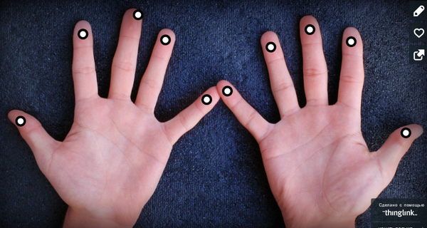 Политическая хиромантия. Где Запад находил руку Кремля - Sputnik Латвия