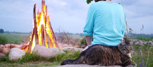 Лиго - Sputnik Латвия