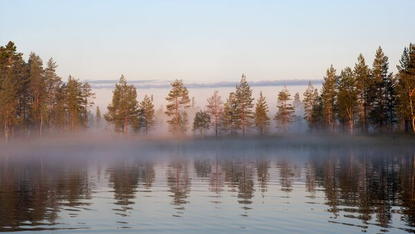 Лесное озеро в российской республике Карелия. - Sputnik Латвия