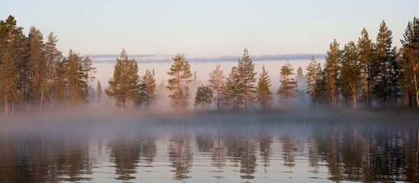 Meža ezers Karēlijas Republikā. Foto no arhīva Meža ezers Karēlijas Republikā. Foto no arhīva - Sputnik Latvija