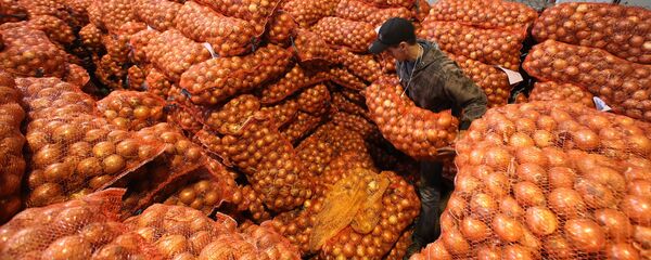 Лук на овощном складе. - Sputnik Латвия