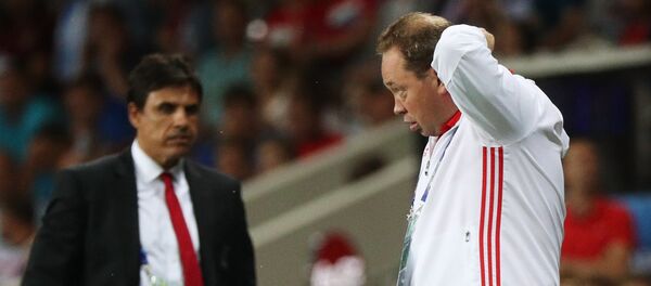 Футбол. Чемпионат Европы - 2016. Матч Россия - Уэльс - Sputnik Латвия