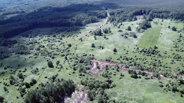 В лесу на границе Латвии и России Юрис Уртанс искал с воздуха городища  - Sputnik Латвия