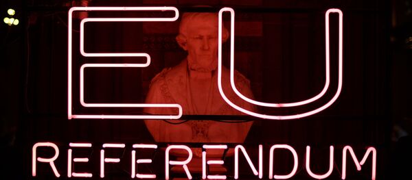 Референдум в Британии по сохранению членства в ЕС Референдум в Британии по сохранению членства в ЕС - Sputnik Латвия