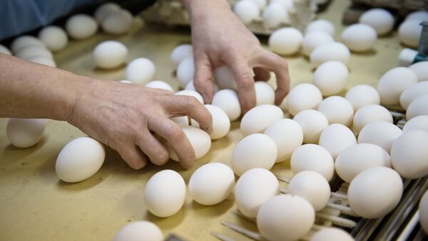 Куриные яйца - Sputnik Латвия