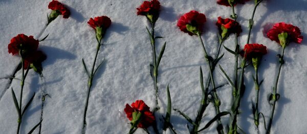 Гвоздики на снегу - Sputnik Латвия