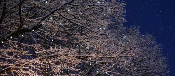 Sinoptiķi vēsta, kad gaidāms lielākais sals Sinoptiķi vēsta, kad gaidāms lielākais sals - Sputnik Latvija