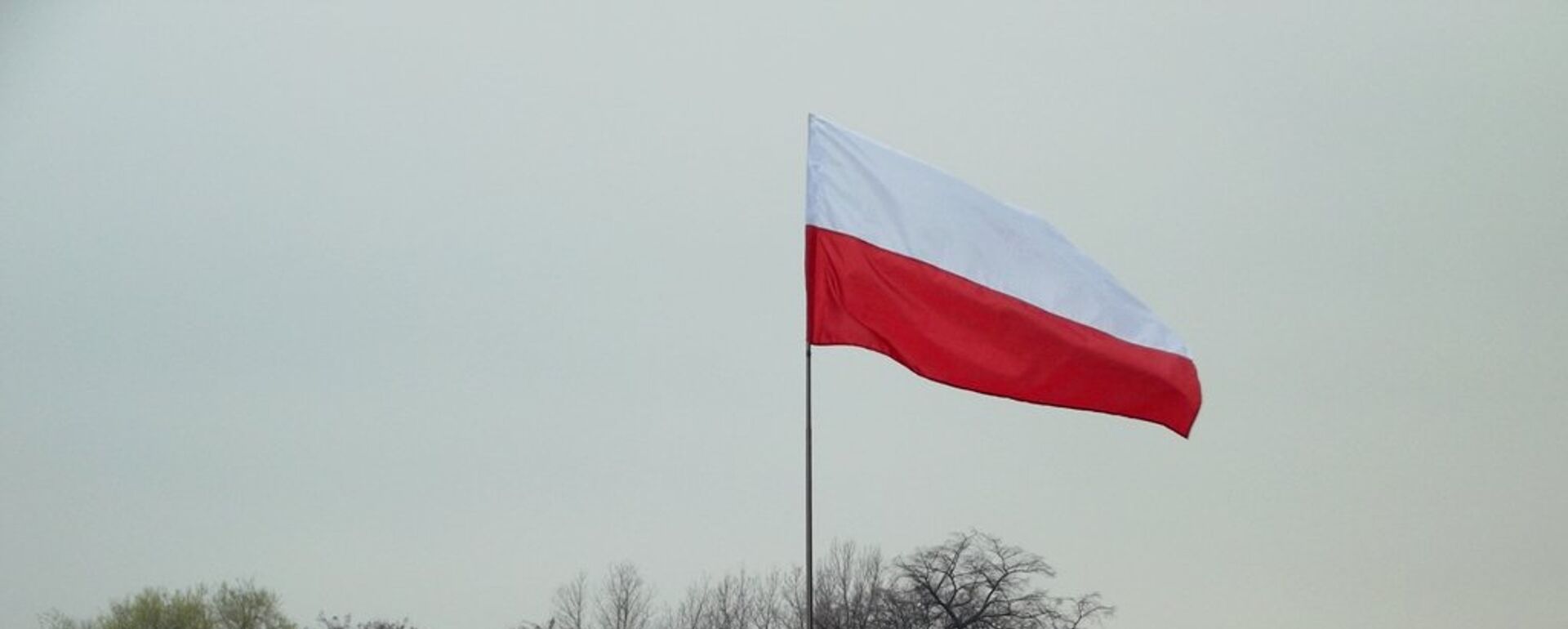 Флаг Польши - Sputnik Латвия, 1920, 14.06.2021