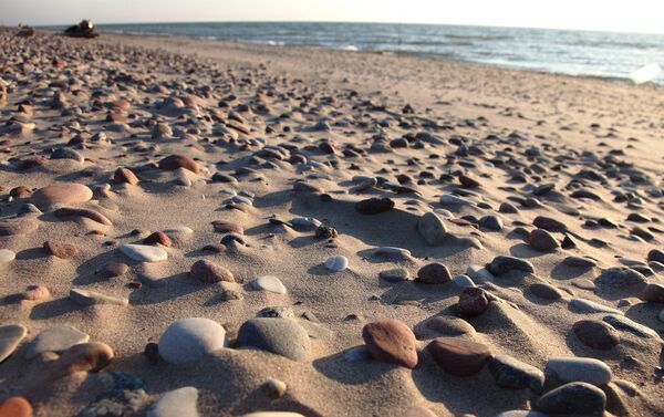 Берег моря в Овиши - Sputnik Латвия