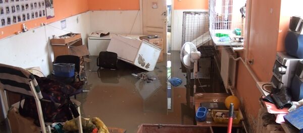 Ростов пережил конец света: последствия наводнения - Sputnik Латвия