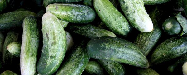 Огурцы - Sputnik Латвия