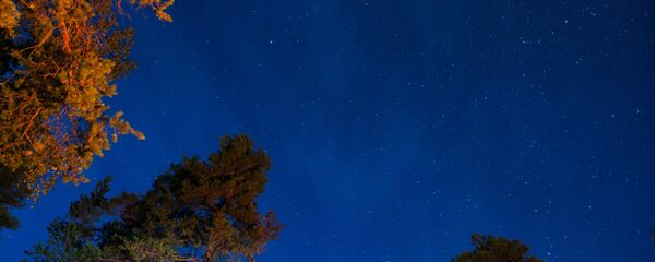 Звездное небо и сосны - Sputnik Latvija