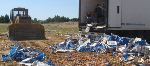 Уничтожение санкционной продукции Уничтожение санкционной продукции - Sputnik Latvija