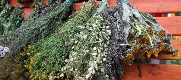 В латвийском этнографическом музее под открытым небом прошел Праздник бани и меда - Sputnik Латвия