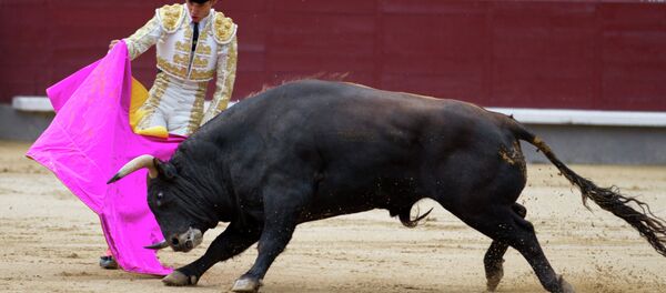 Коррида в Испании - Sputnik Латвия