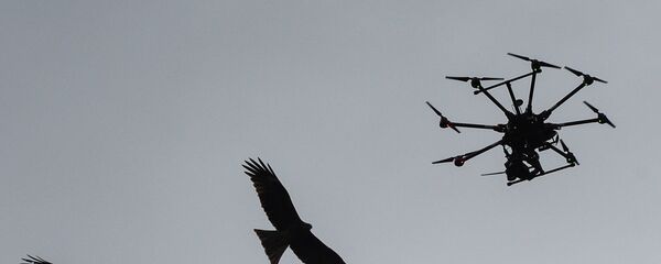 Мультикоптер (беспилотник) в небе - Sputnik Латвия