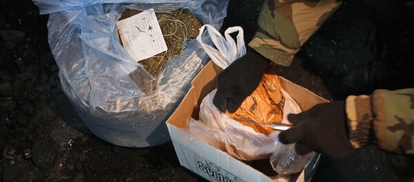 Уничтожение крупной партии наркотиков - Sputnik Латвия