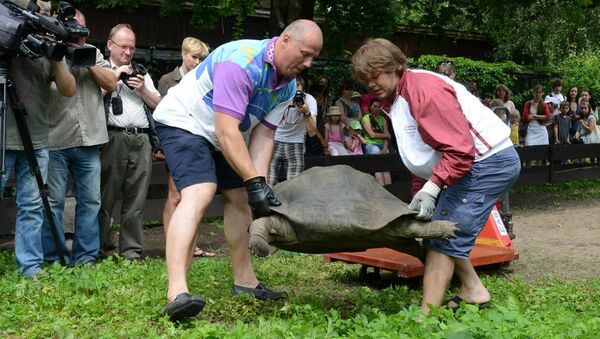 Взвешивание черепах в Рижском зоопарке - Sputnik Латвия