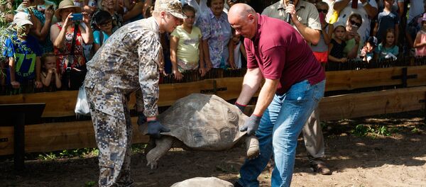 Традиционное взвешивание черепах в Рижском зоопарке - Sputnik Латвия