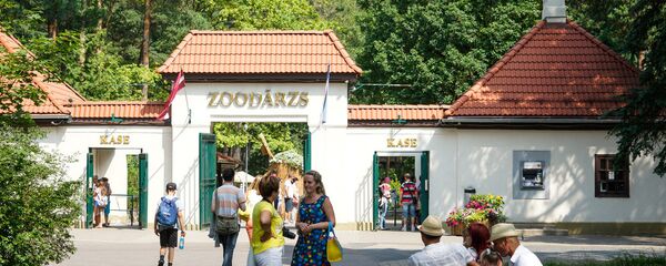 Rīgas Zoodārzs - Sputnik Latvija