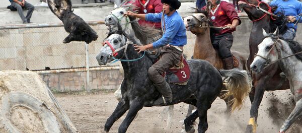 Открытый чемпионат Кыргызстана по кок-бору - Sputnik Латвия