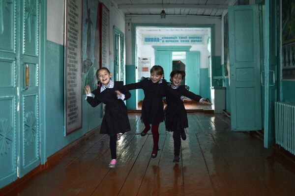Lauku skola, 3. vieta nominācijā Pasaules krāsas. Dzīves harmonija (sērijas). - Sputnik Latvija
